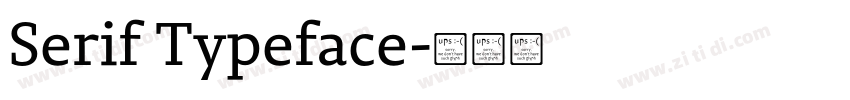 Serif Typeface字体转换 Serif Typeface字体转换